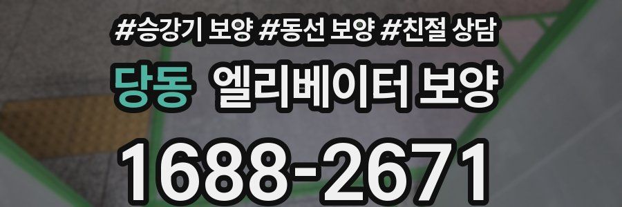 당동 엘리베이터 보양