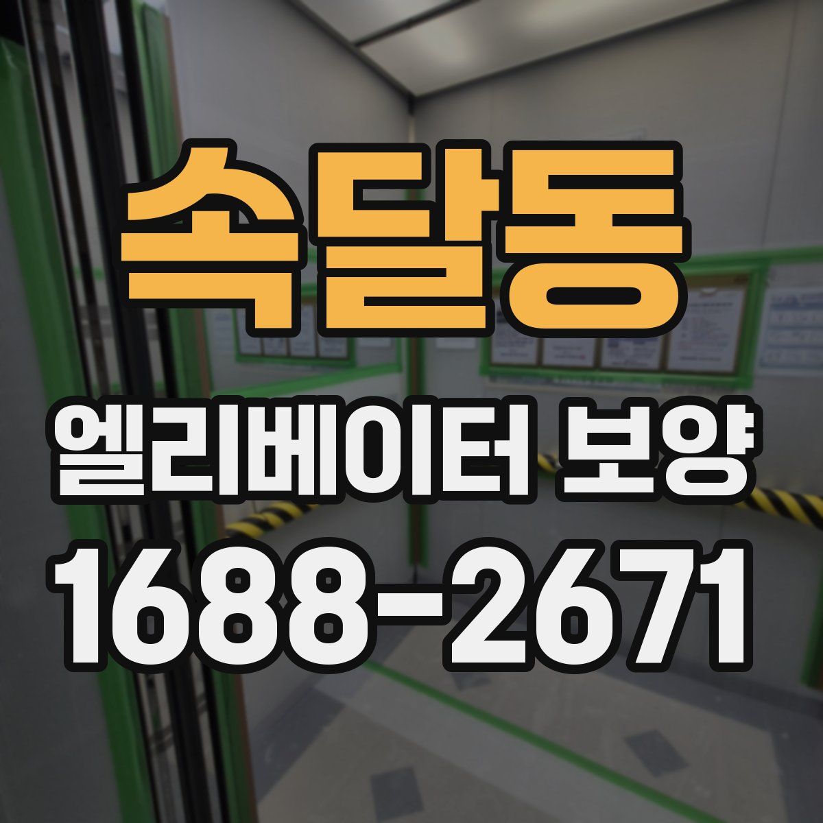 속달동 엘리베이터 보양