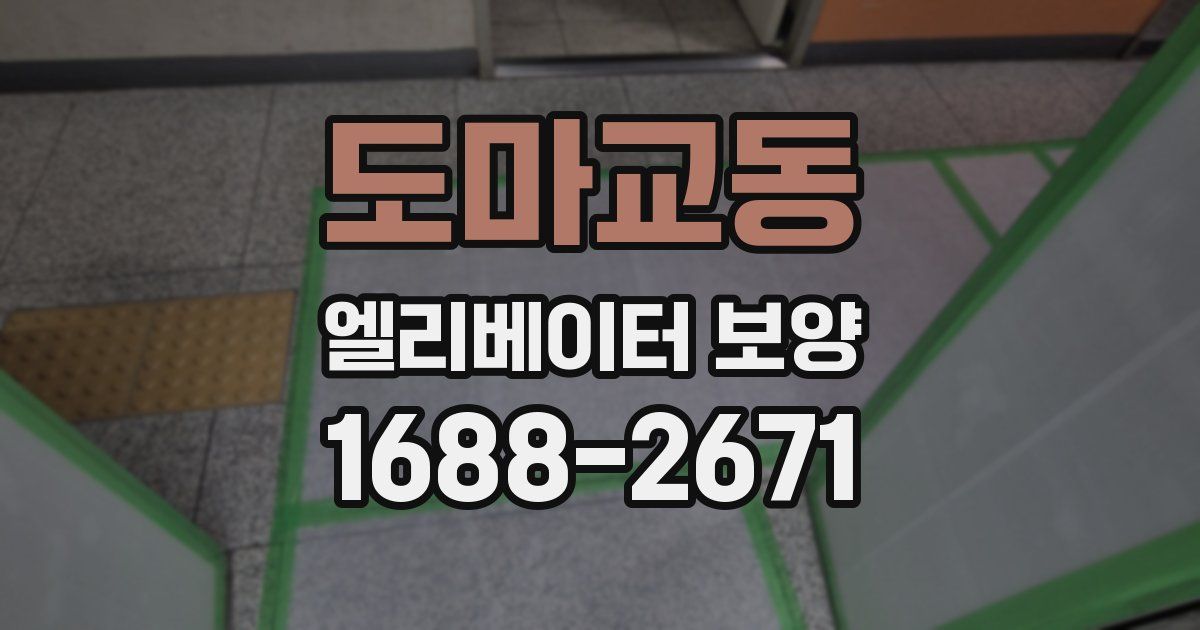 도마교동 엘리베이터 보양