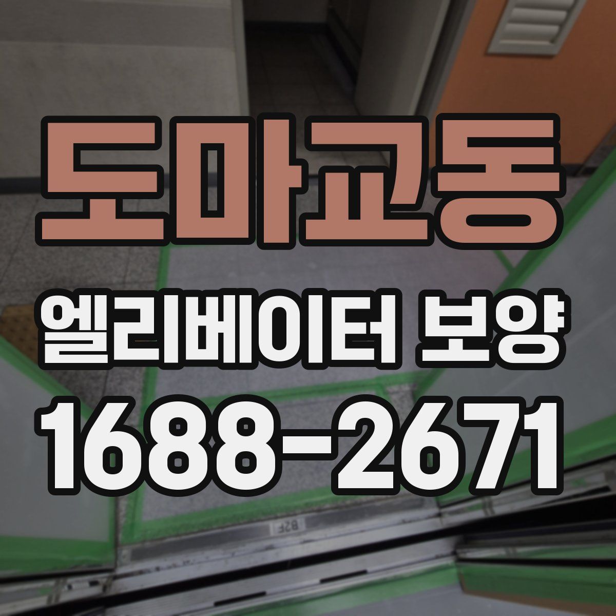 도마교동 엘리베이터 보양