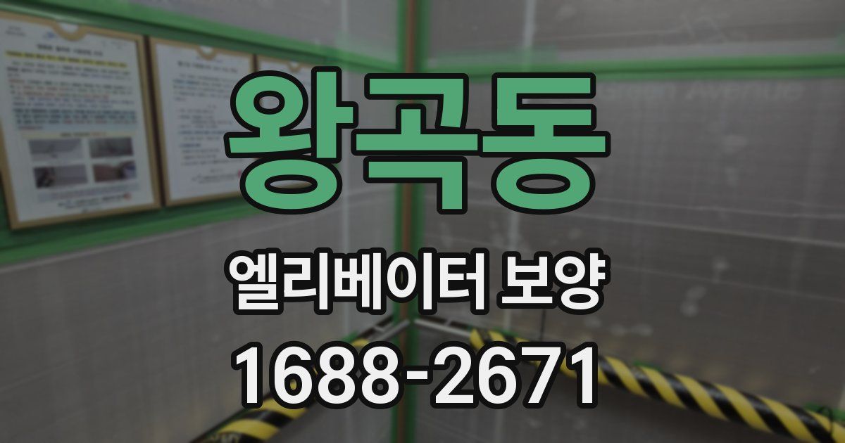왕곡동 엘리베이터 보양