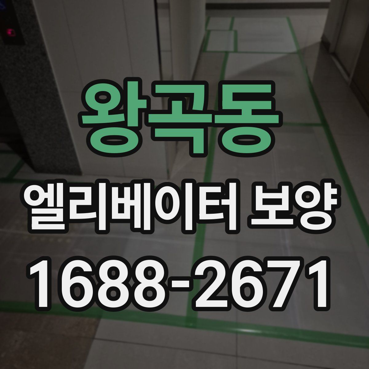 왕곡동 엘리베이터 보양