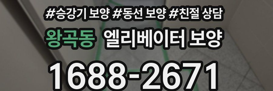 왕곡동 엘리베이터 보양