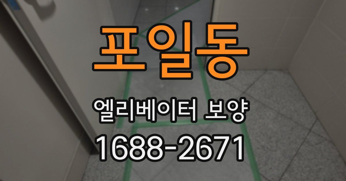 포일동 엘리베이터 보양