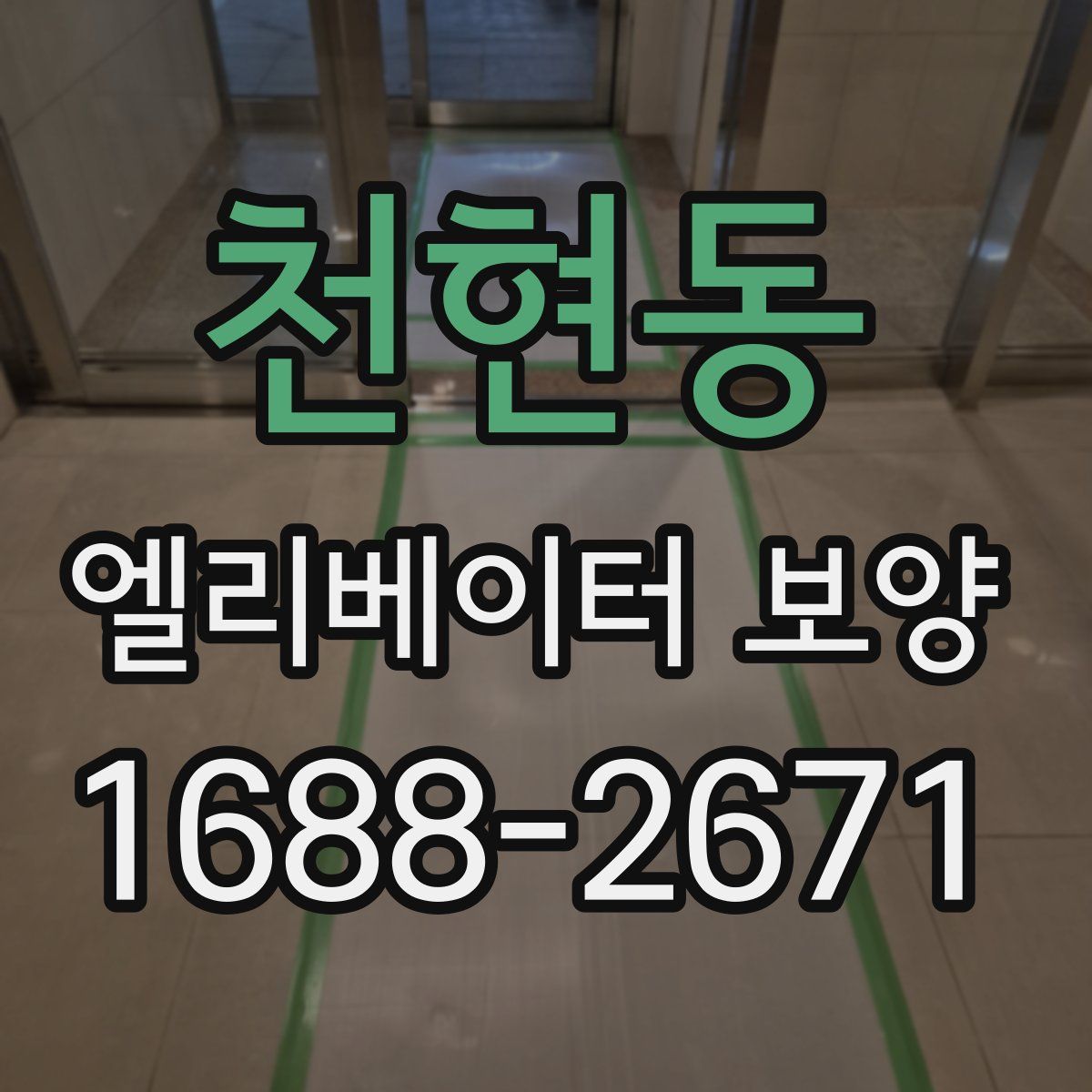 천현동 엘리베이터 보양