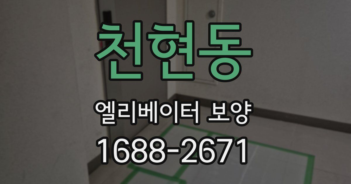 천현동 엘리베이터 보양
