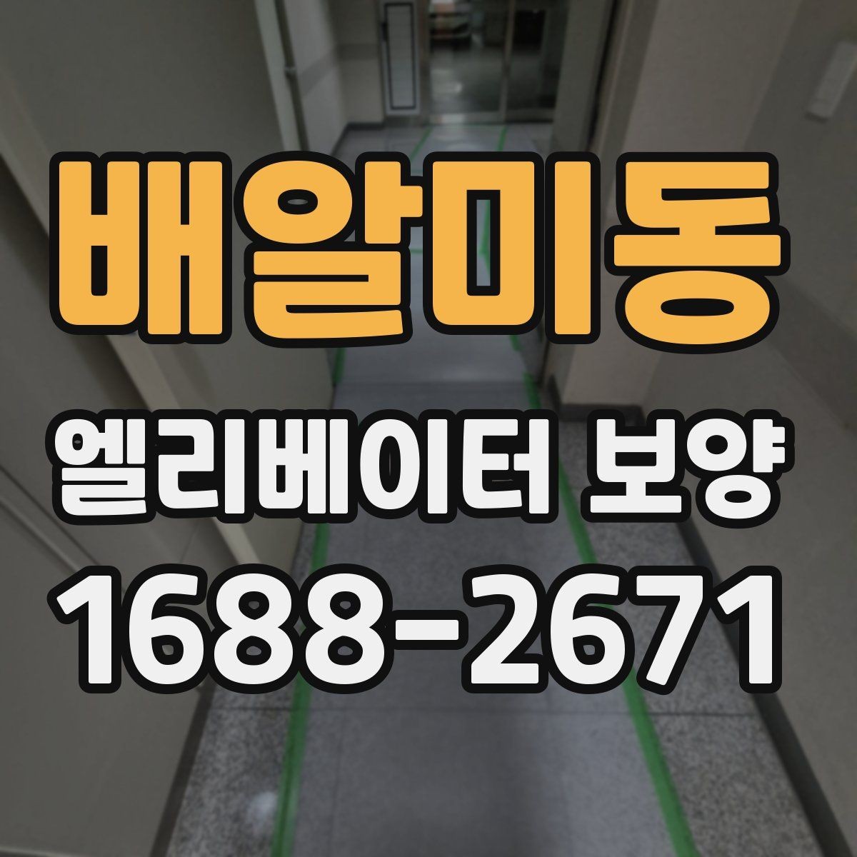 배알미동 엘리베이터 보양 작업 범위와 진행 순서