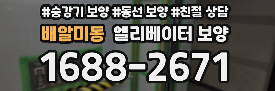 배알미동 엘리베이터 보양