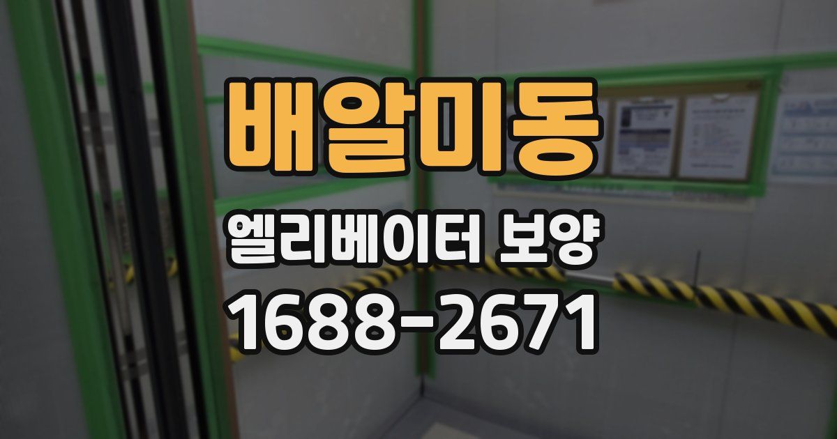 배알미동 엘리베이터 보양