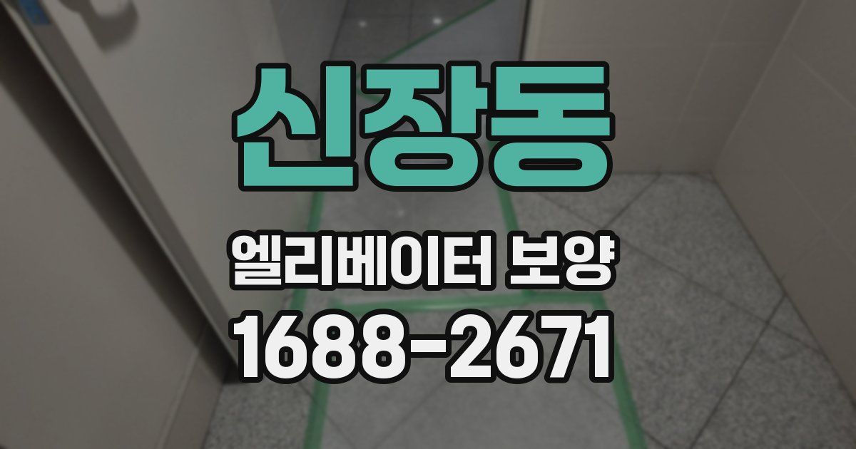 신장동 엘리베이터 보양