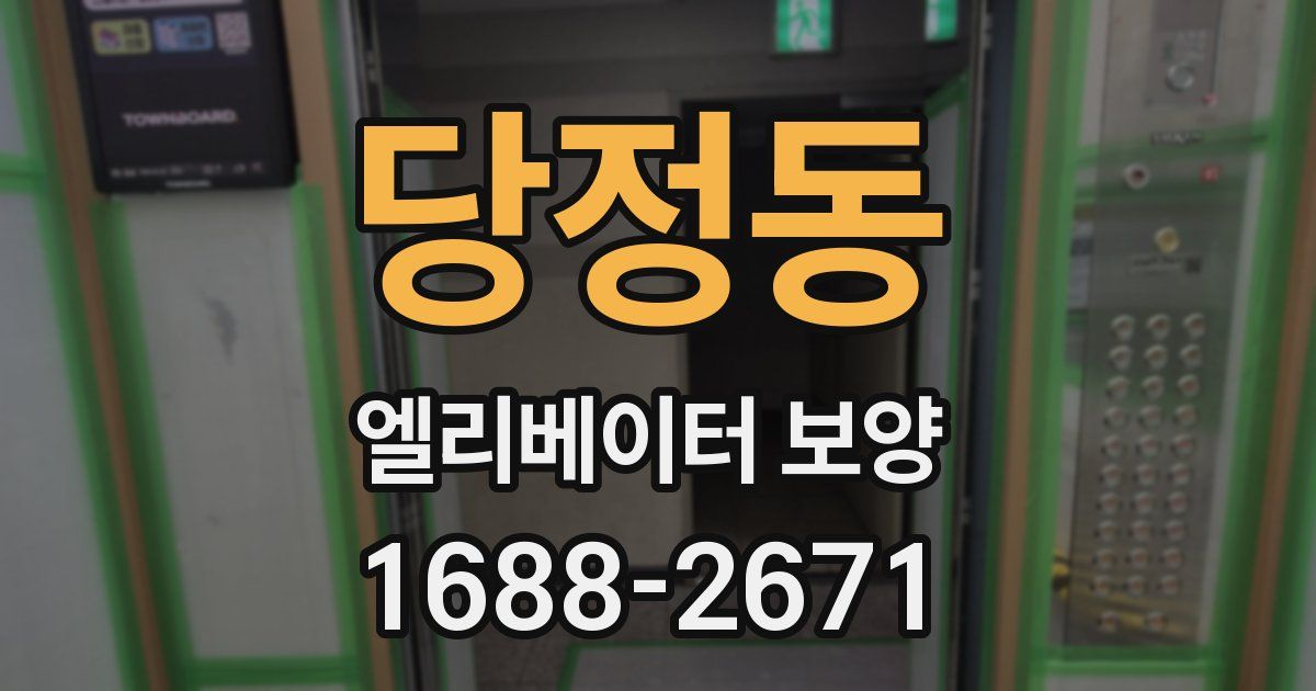 당정동 엘리베이터 보양