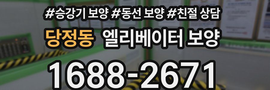 당정동 엘리베이터 보양