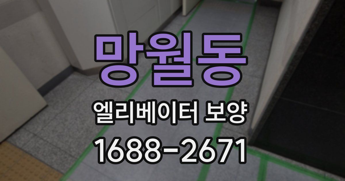 망월동 엘리베이터 보양