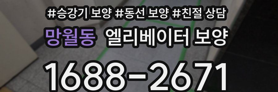 망월동 엘리베이터 보양