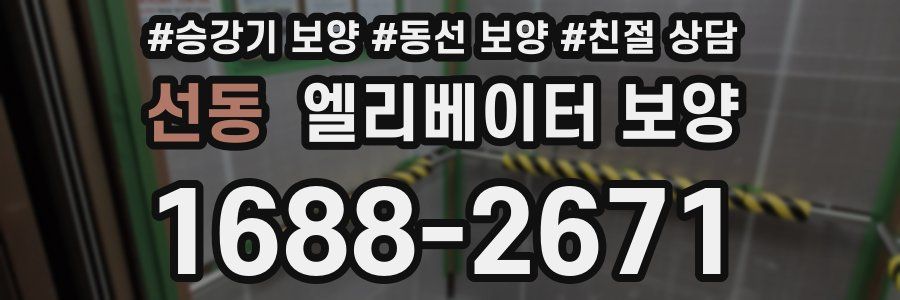 선동 엘리베이터 보양