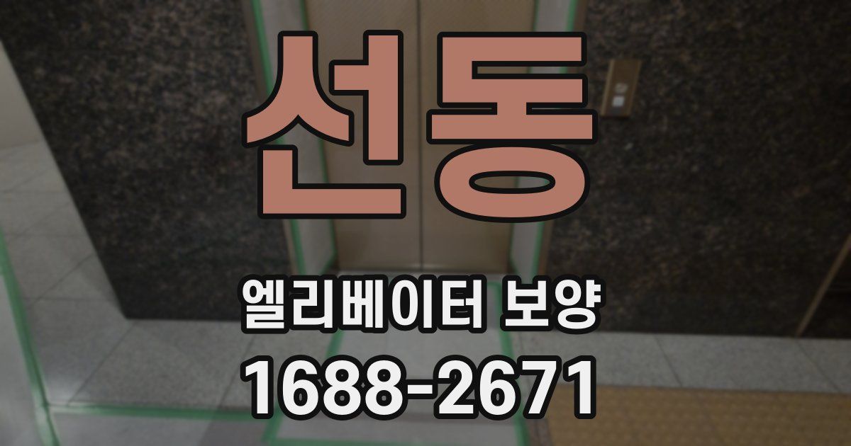 선동 엘리베이터 보양