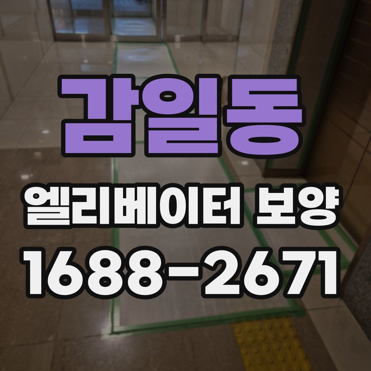 감일동 엘리베이터 보양