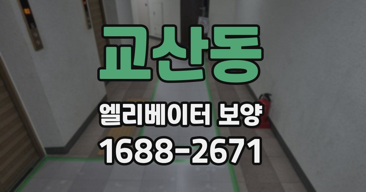 교산동 엘리베이터 보양