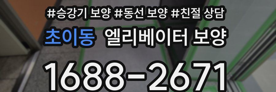 초이동 엘리베이터 보양