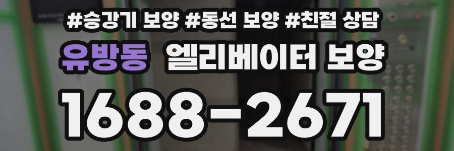유방동 엘리베이터 보양