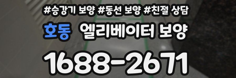 호동 엘리베이터 보양