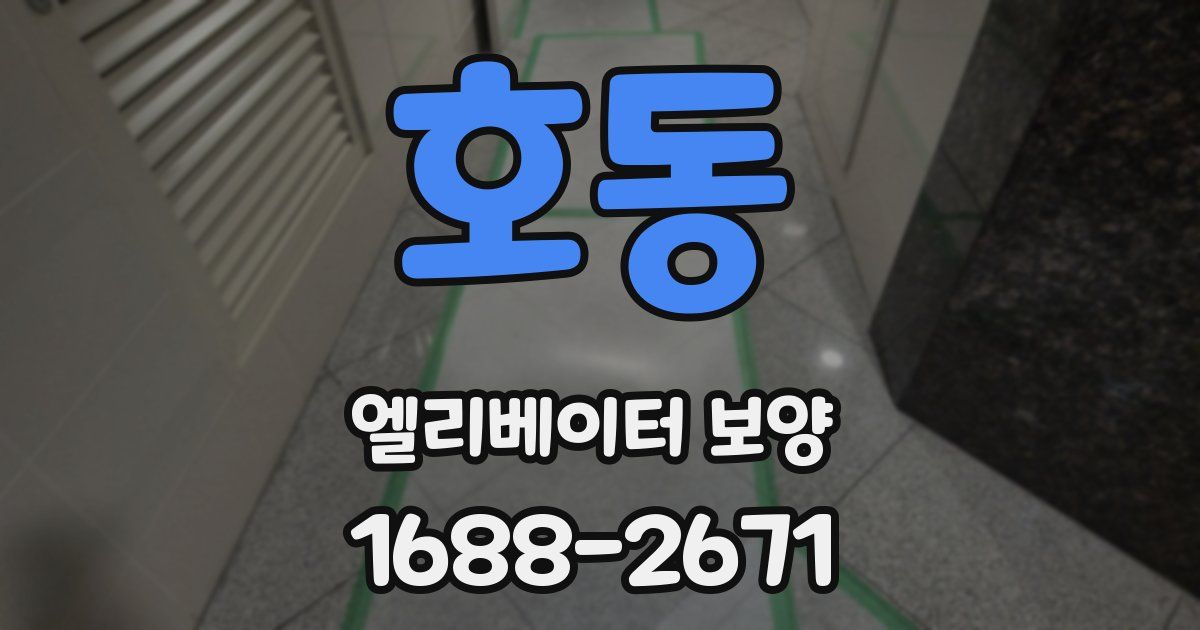 호동 엘리베이터 보양