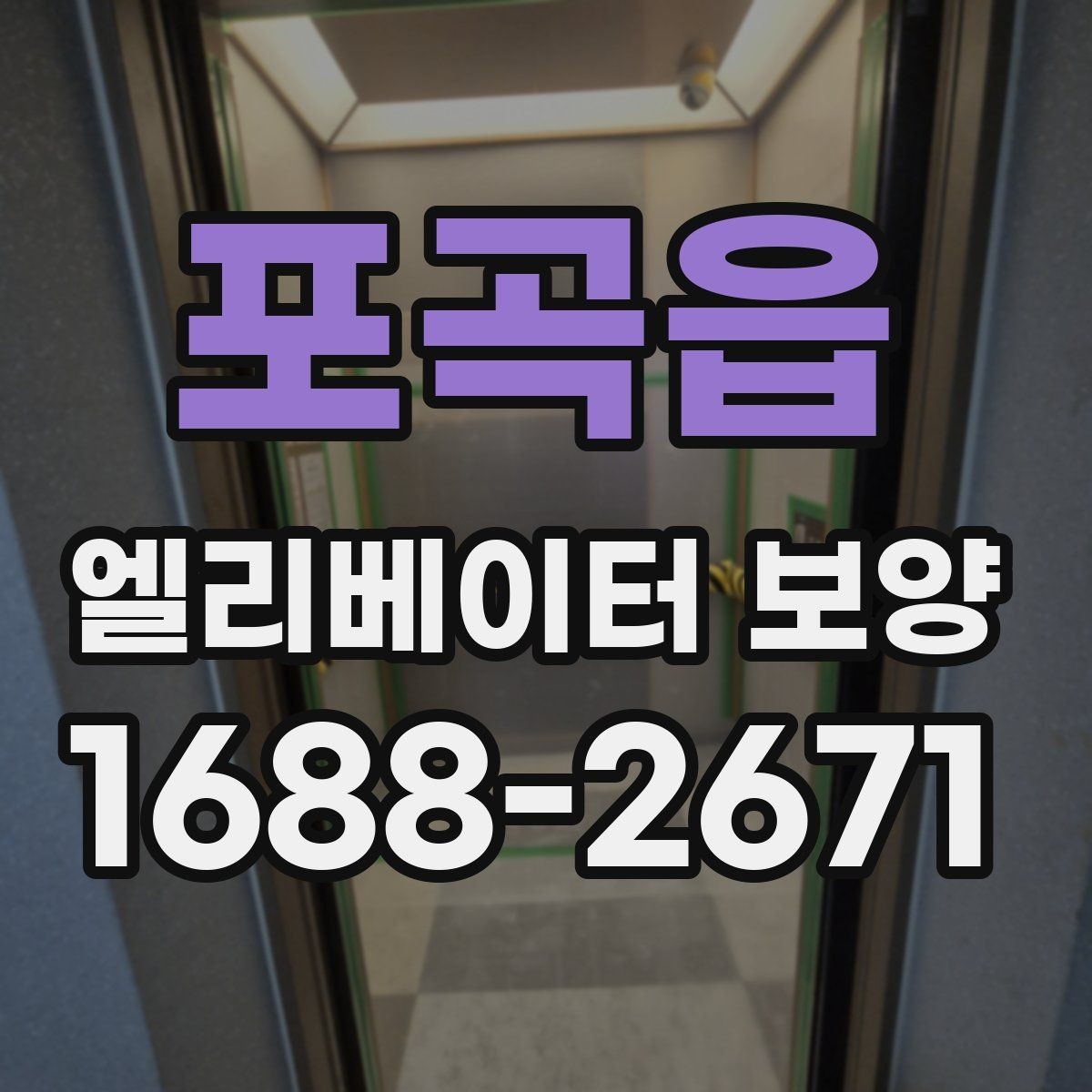 포곡읍 엘리베이터 보양 설치와 철거의 균형을 맞추는 법