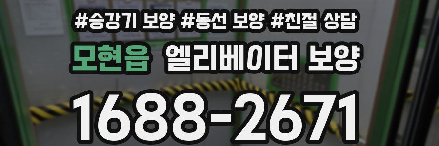 모현읍 엘리베이터 보양