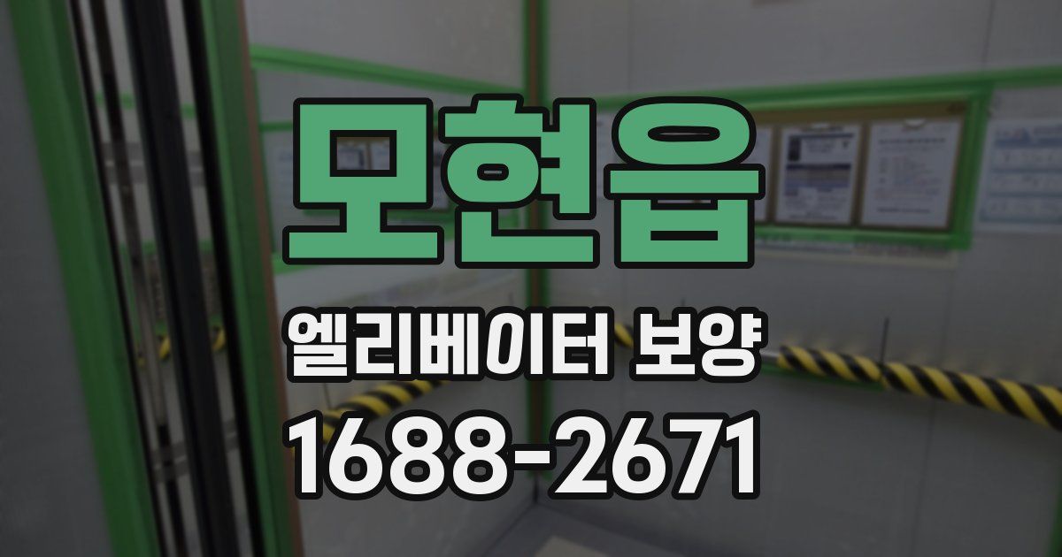 모현읍 엘리베이터 보양
