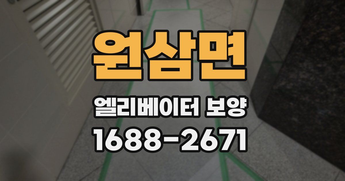 원삼면 엘리베이터 보양
