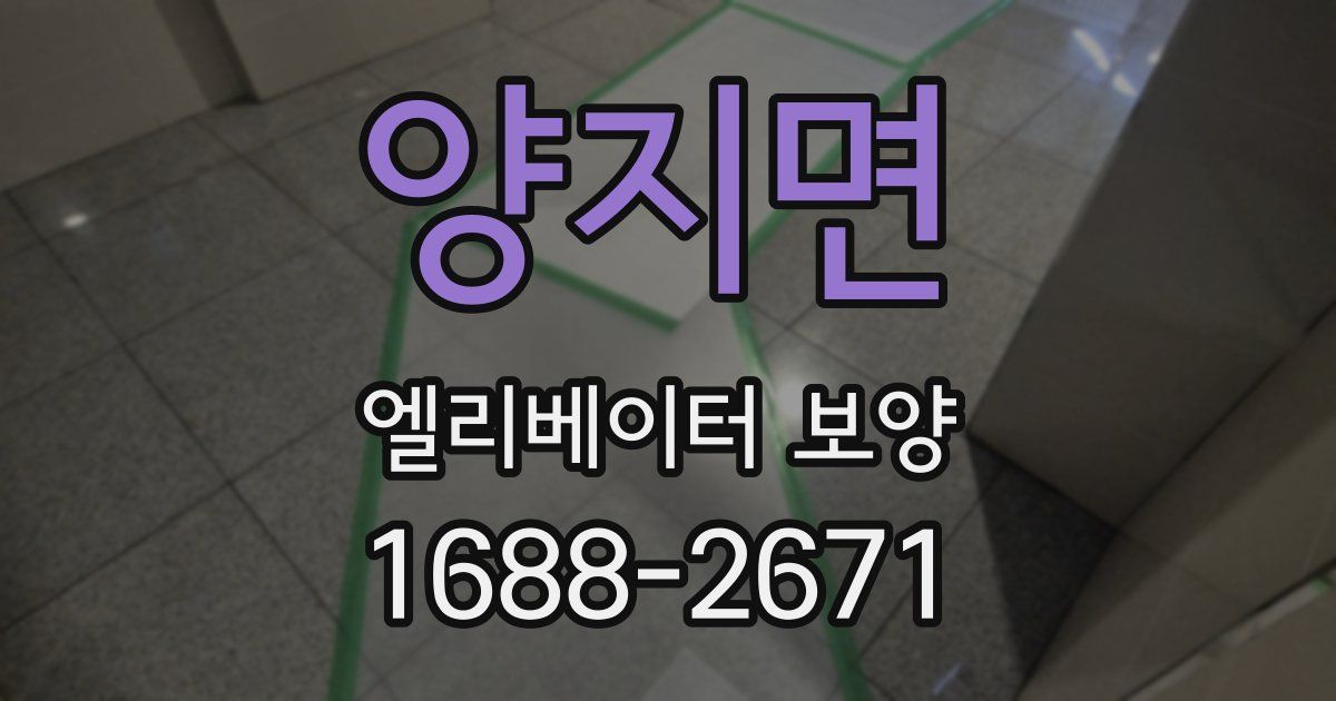 양지면 엘리베이터 보양