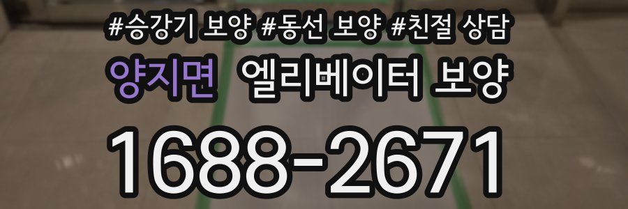 양지면 엘리베이터 보양