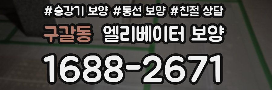 구갈동 엘리베이터 보양