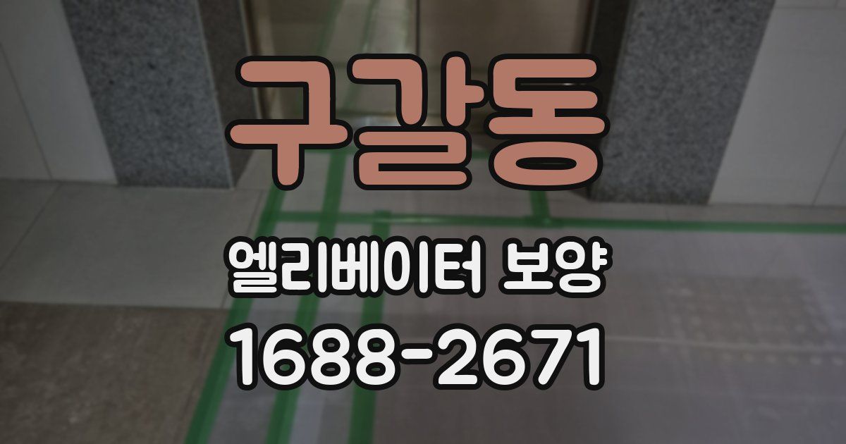 구갈동 엘리베이터 보양