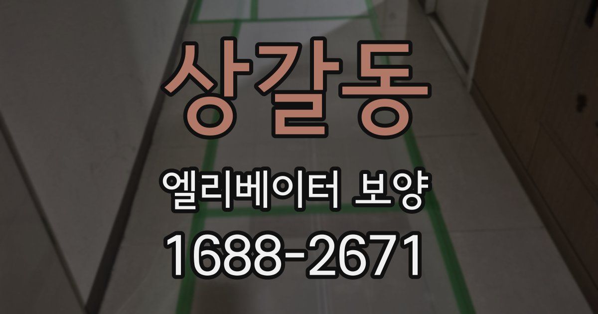 상갈동 엘리베이터 보양