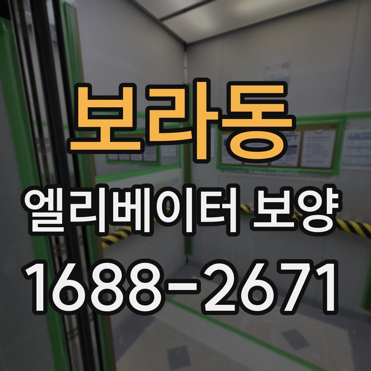 보라동 엘리베이터 보양