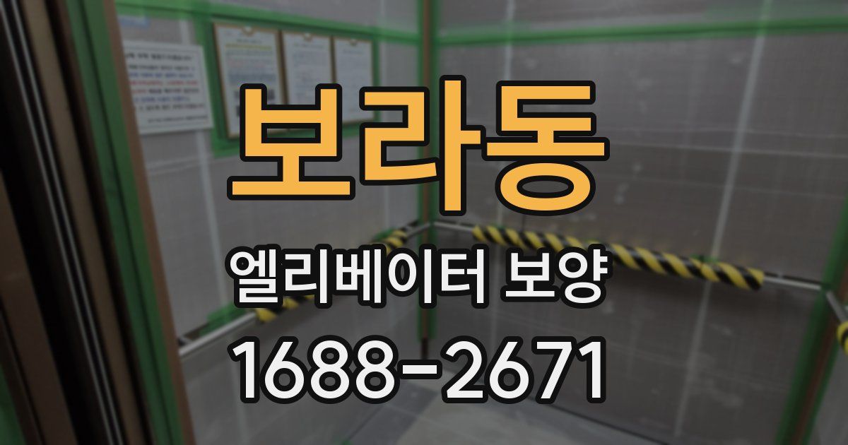 보라동 엘리베이터 보양