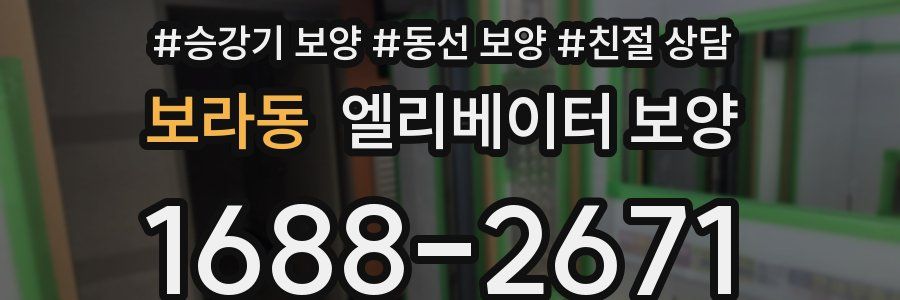 보라동 엘리베이터 보양