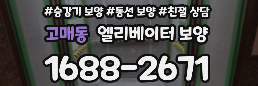 고매동 엘리베이터 보양