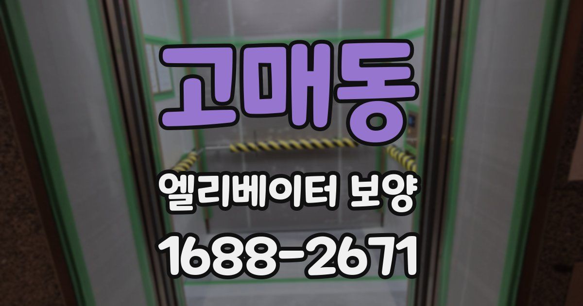 고매동 엘리베이터 보양