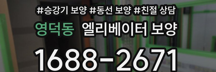 영덕동 엘리베이터 보양