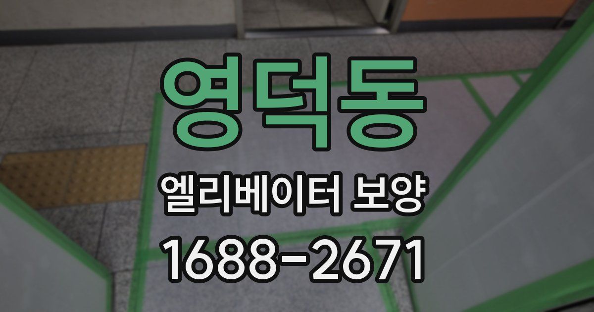 영덕동 엘리베이터 보양