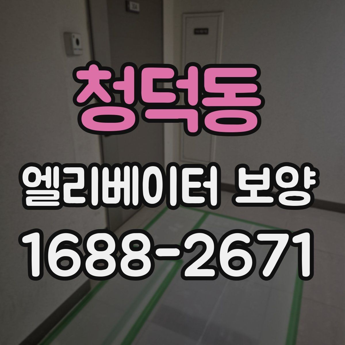 청덕동 엘리베이터 보양 서비스 선택 전에 알아둘 점