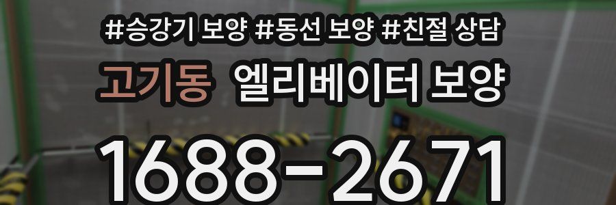 고기동 엘리베이터 보양