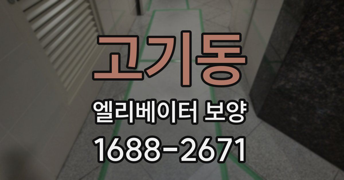 고기동 엘리베이터 보양