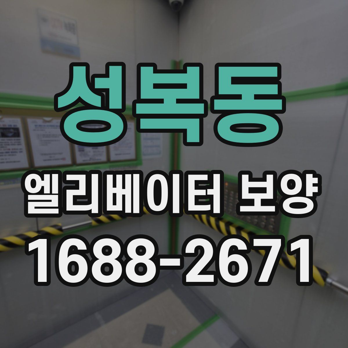 성복동 엘리베이터 보양