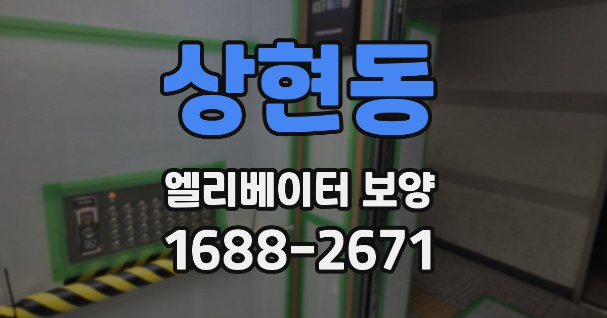 상현동 엘리베이터 보양
