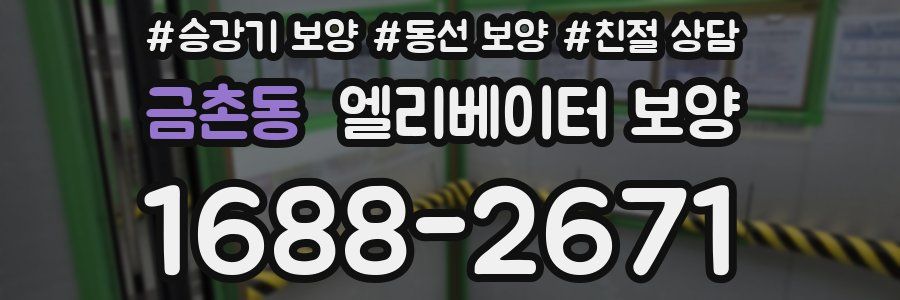 금촌동 엘리베이터 보양