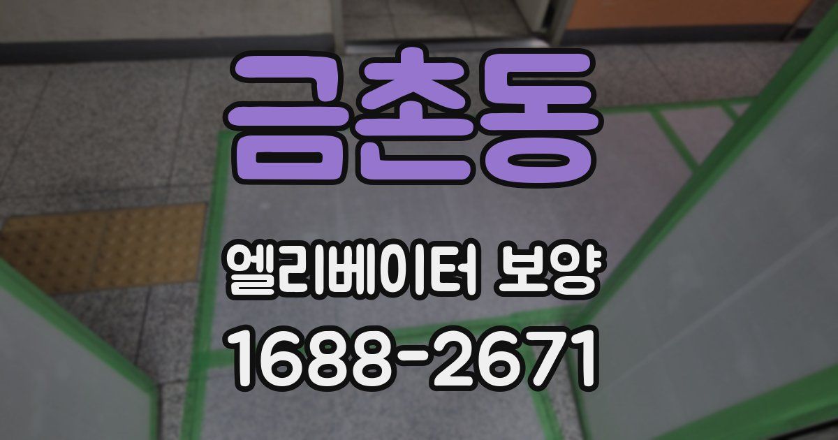 금촌동 엘리베이터 보양