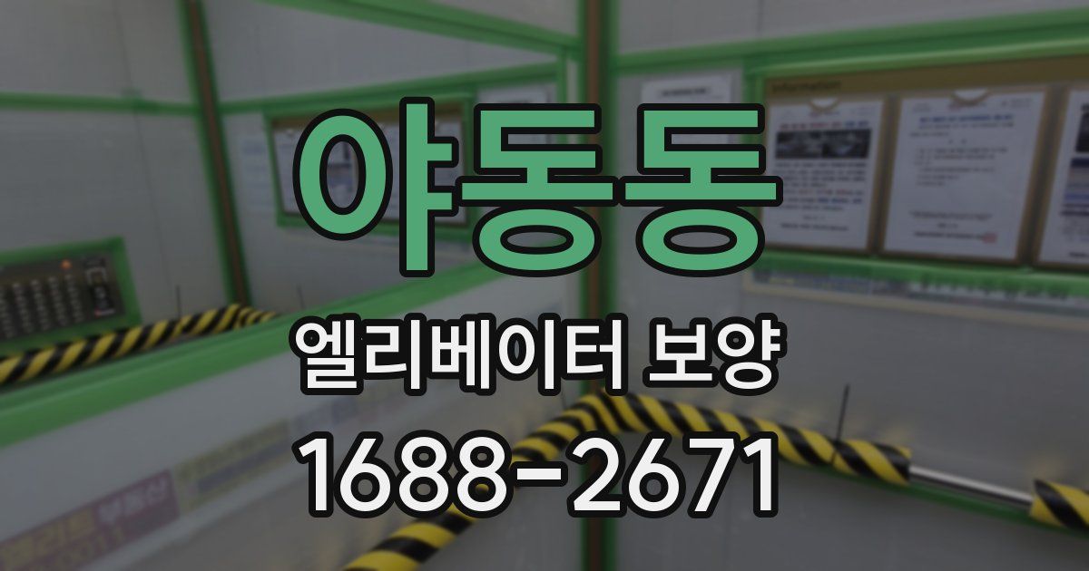 야동동 엘리베이터 보양